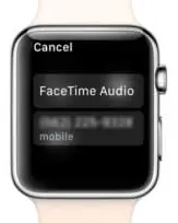 Walkie Talkie Apple Watch Not Working 16 12