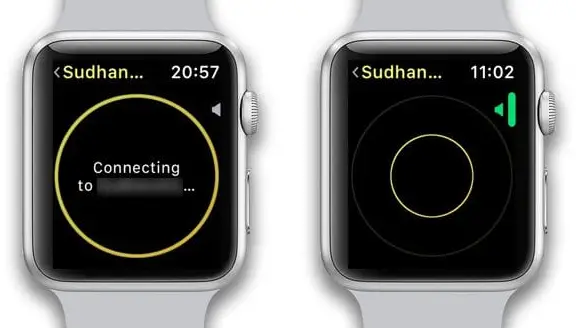 Walkie Talkie Apple Watch Not Working 18 13 1