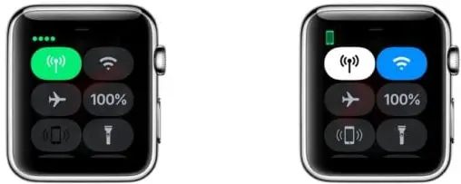 Walkie Talkie Apple Watch Not Working 22 19