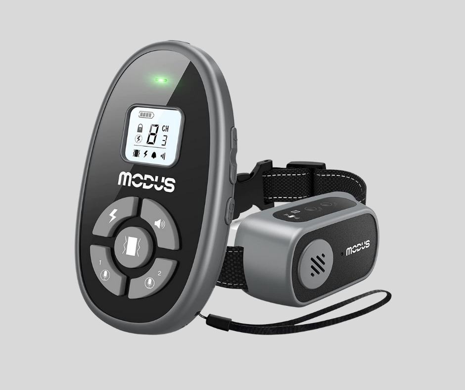 7. MODUS Remote Control Dog Training Collar